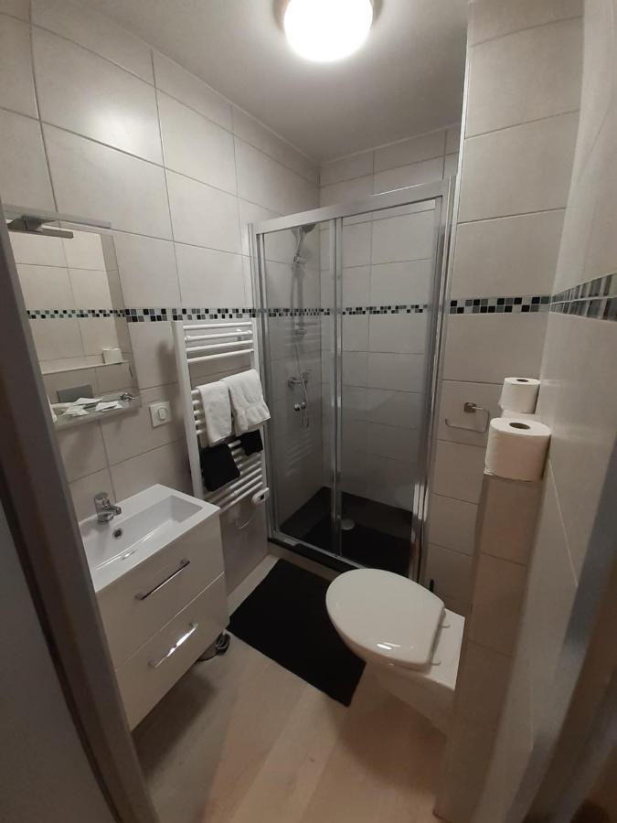 Les Appartements Du Saint Hubert Arcis-sur-Aube Zewnętrze zdjęcie