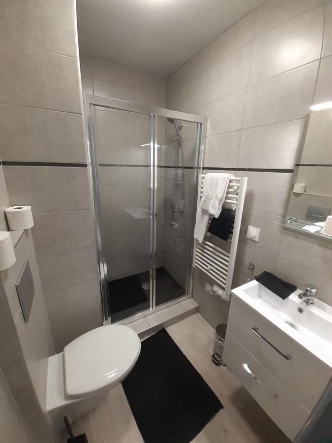 Les Appartements Du Saint Hubert Arcis-sur-Aube Zewnętrze zdjęcie