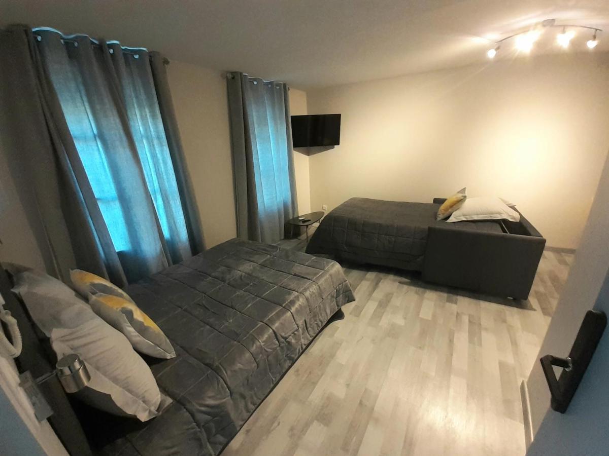 Les Appartements Du Saint Hubert Arcis-sur-Aube Zewnętrze zdjęcie